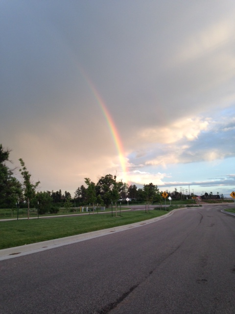 Beauty After The Storm